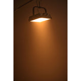 Godox Knowled P600BI Hard Light