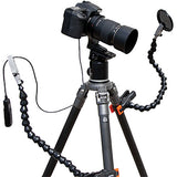 Wimberley The Plamp II