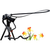 Wimberley The Plamp II