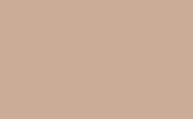 BD Natural Paper Background - QATAR4CAM
