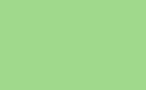 BD Paper Background SPRING GREEN 2.72m X 11m - QATAR4CAM