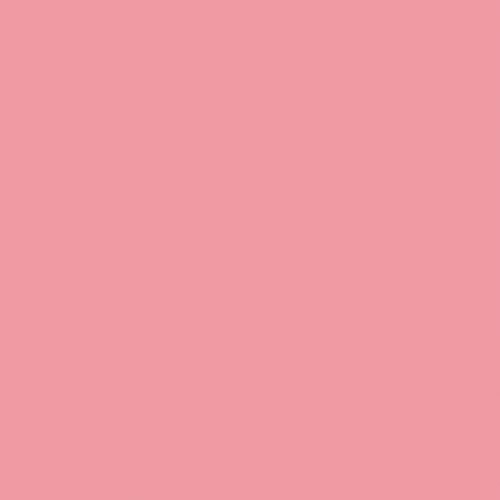 Superior Seamless Carnation Pink - QATAR4CAM