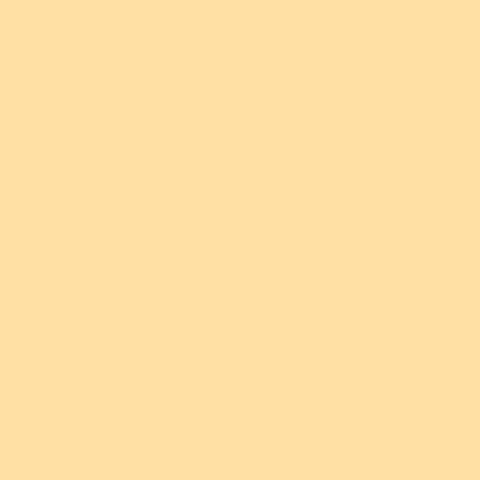 Superior Seamless Paper Background CREAM CORE - QATAR4CAM
