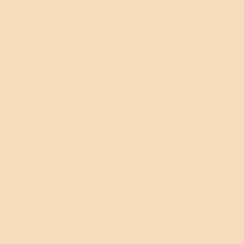 Superior Seamless Paper Background IVORINE CORE - QATAR4CAM